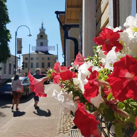 度假居 De Pikku Maria